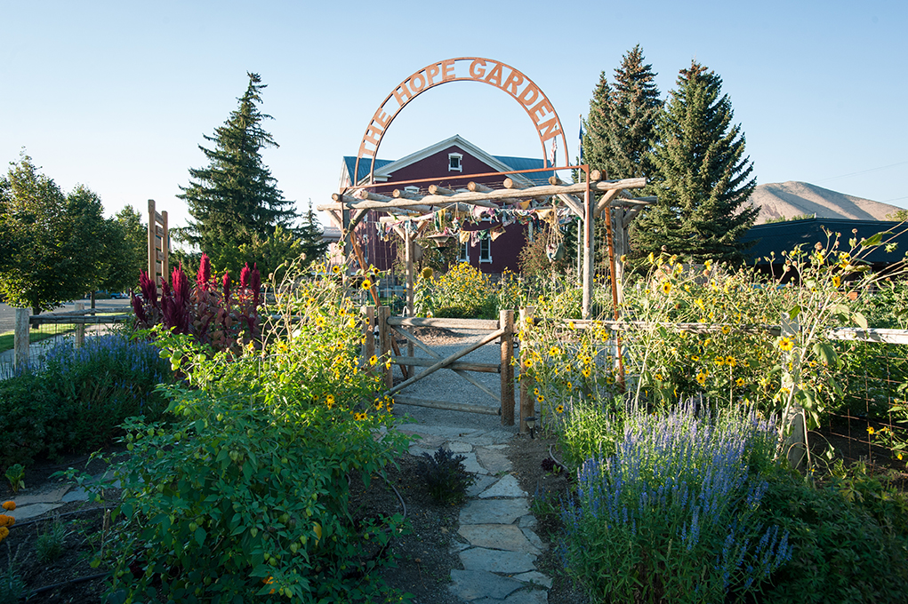 Photo 5 from The Hunger Coalition